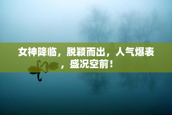 女神降临，脱颖而出，人气爆表，盛况空前！