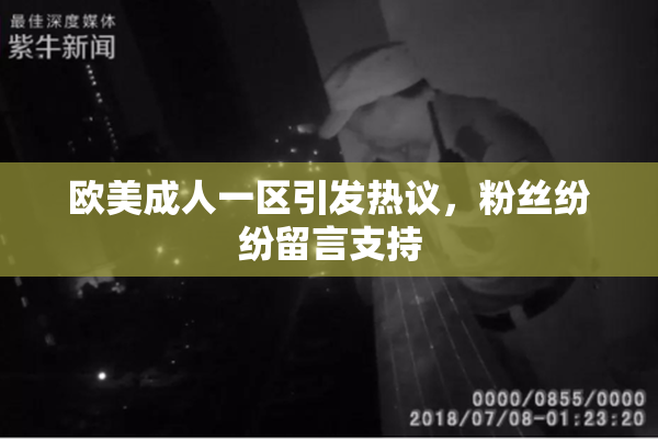 欧美成人一区引发热议，粉丝纷纷留言支持