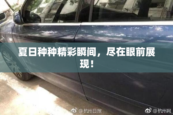 夏日种种精彩瞬间，尽在眼前展现！