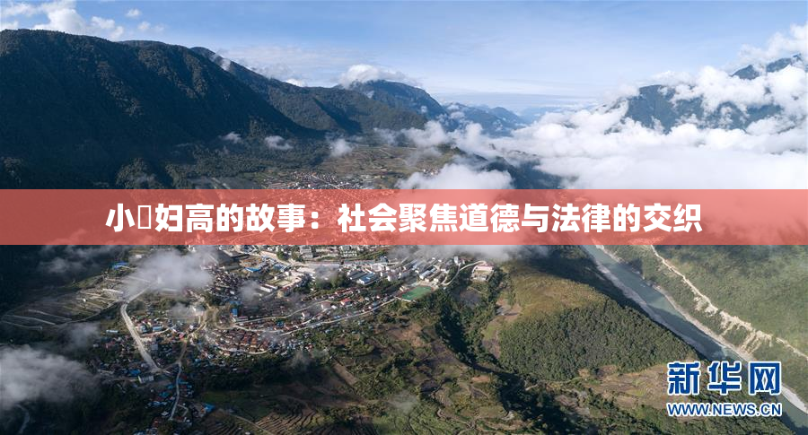 小婬妇高的故事：社会聚焦道德与法律的交织