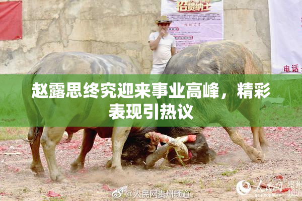 赵露思终究迎来事业高峰，精彩表现引热议