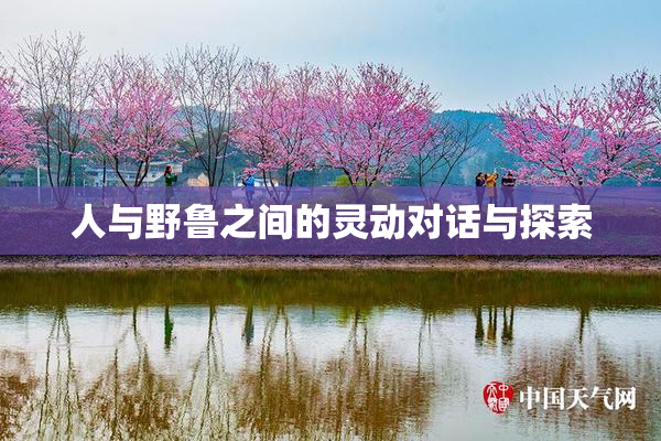 人与野鲁之间的灵动对话与探索
