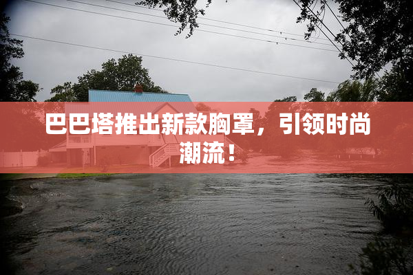 巴巴塔推出新款胸罩，引领时尚潮流！
