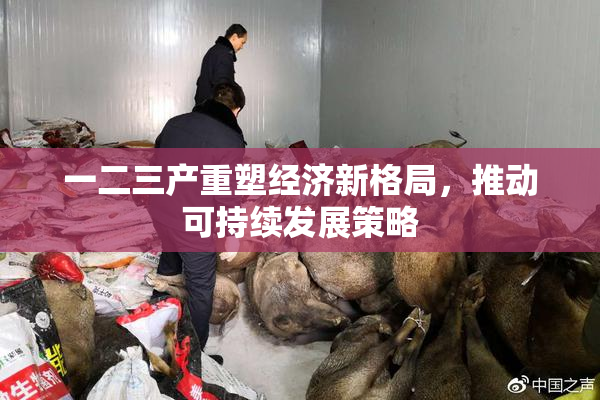 一二三产重塑经济新格局，推动可持续发展策略
