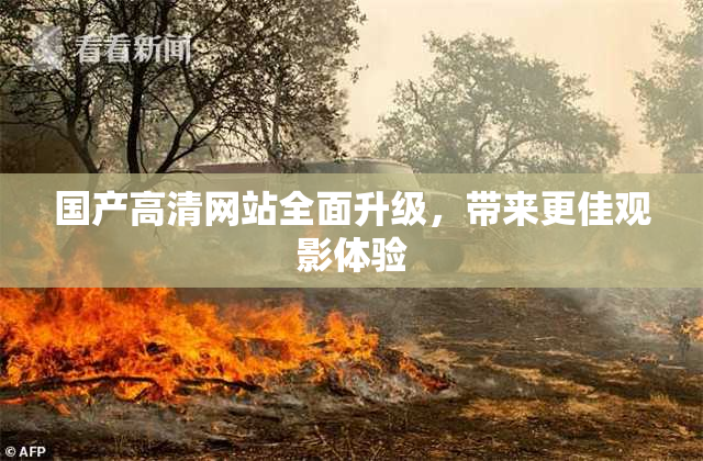 国产高清网站全面升级，带来更佳观影体验