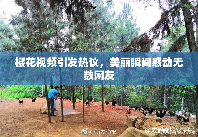 樱花视频引发热议，美丽瞬间感动无数网友