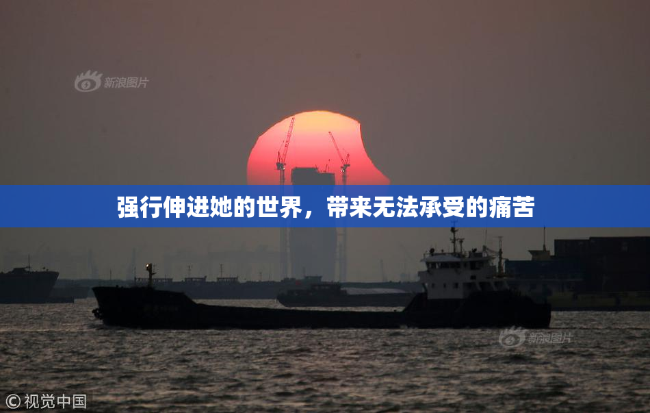 强行伸进她的世界，带来无法承受的痛苦
