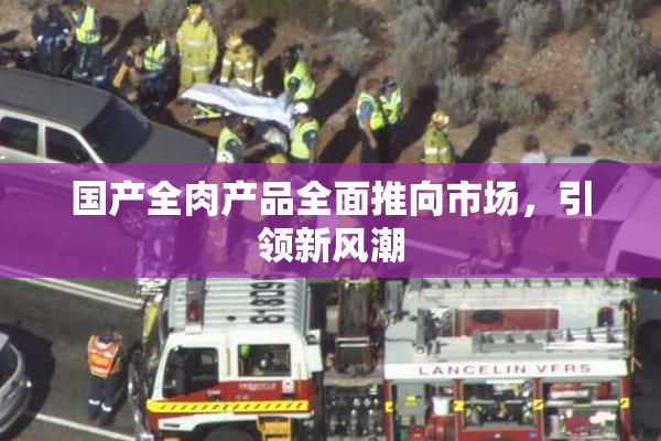 国产全肉产品全面推向市场，引领新风潮
