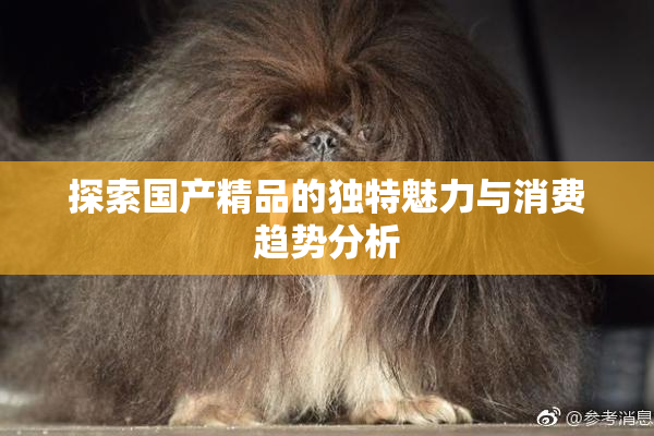 探索国产精品的独特魅力与消费趋势分析