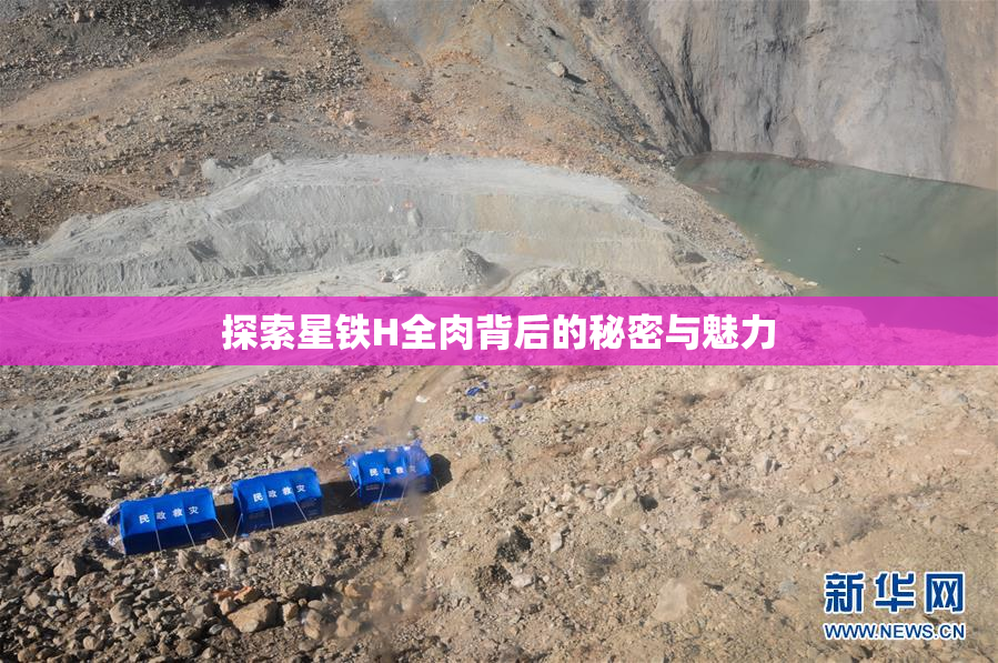 探索星铁H全肉背后的秘密与魅力