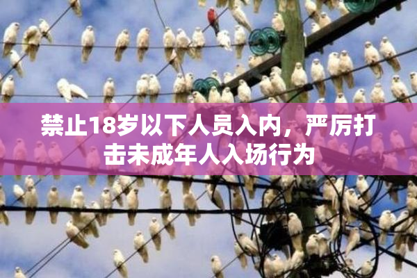 禁止18岁以下人员入内，严厉打击未成年人入场行为