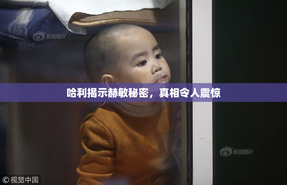 哈利揭示赫敏秘密，真相令人震惊