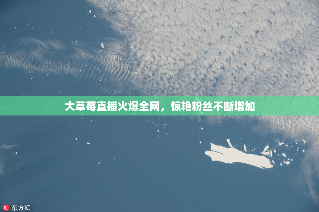 大草莓直播火爆全网，惊艳粉丝不断增加