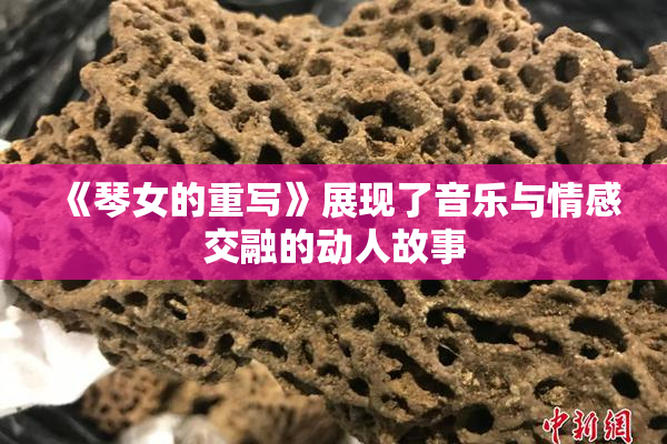 《琴女的重写》展现了音乐与情感交融的动人故事