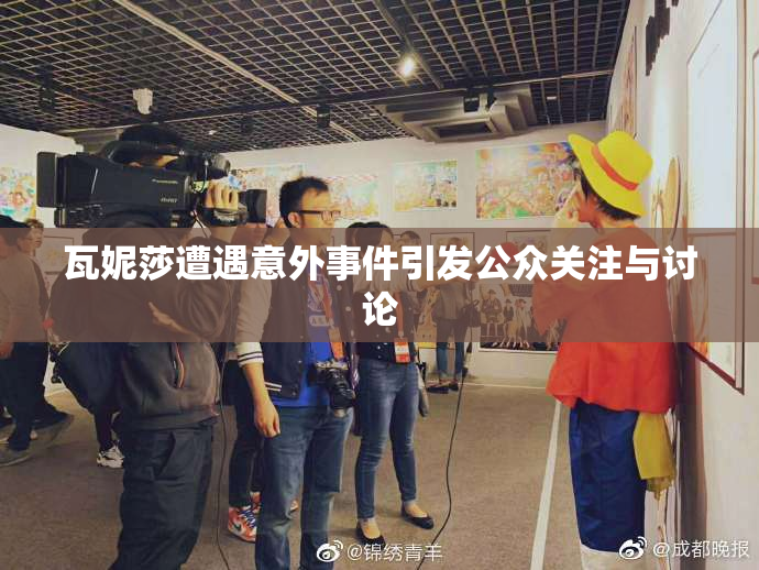 瓦妮莎遭遇意外事件引发公众关注与讨论