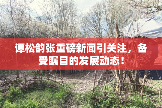 谭松韵张重磅新闻引关注，备受瞩目的发展动态！