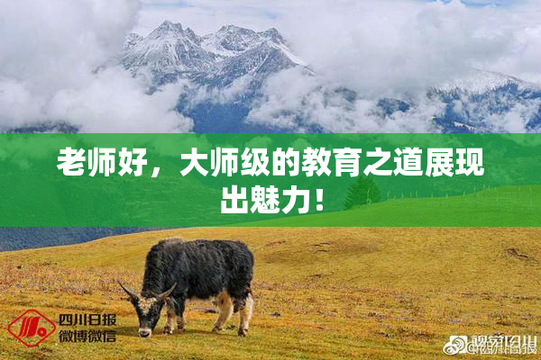 老师好，大师级的教育之道展现出魅力！