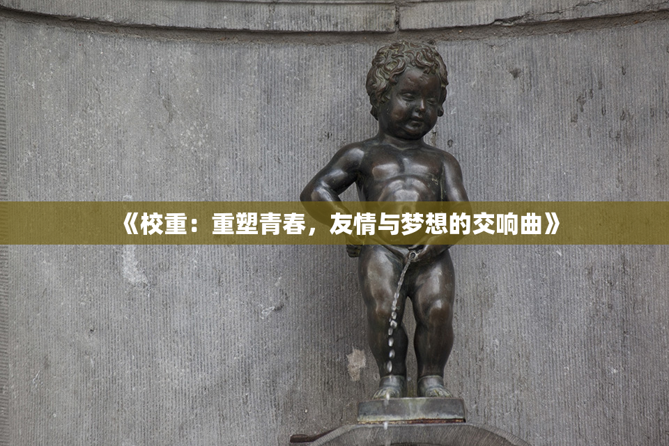 《校重：重塑青春，友情与梦想的交响曲》