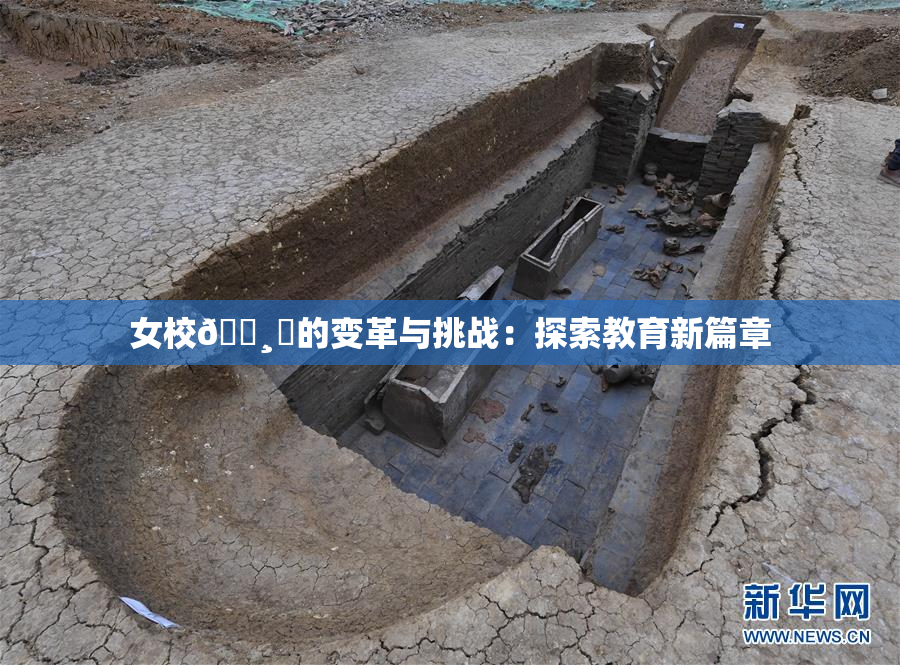 女校🌸‌的变革与挑战：探索教育新篇章