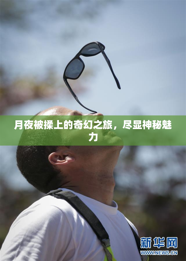 月夜被揉上的奇幻之旅，尽显神秘魅力