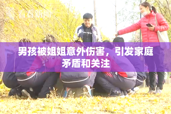 男孩被姐姐意外伤害，引发家庭矛盾和关注