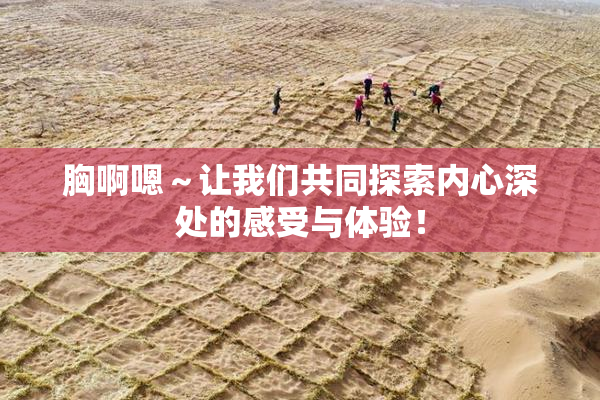 胸啊嗯～让我们共同探索内心深处的感受与体验！