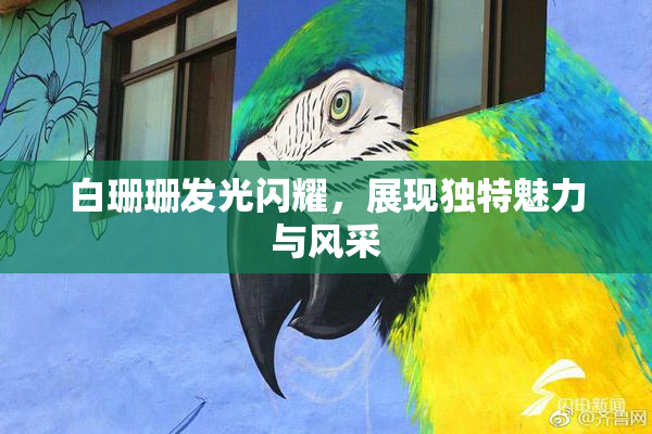 白珊珊发光闪耀，展现独特魅力与风采
