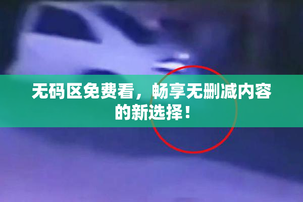 无码区免费看，畅享无删减内容的新选择！