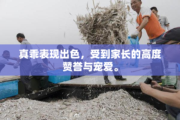 真乖表现出色，受到家长的高度赞誉与宠爱。
