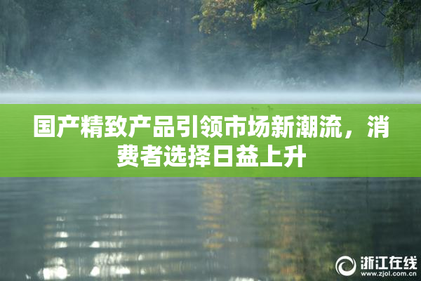 国产精致产品引领市场新潮流，消费者选择日益上升