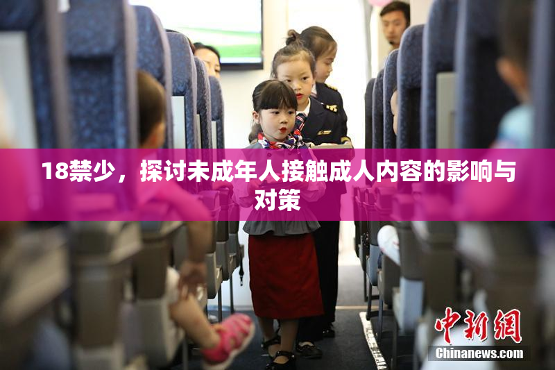 18禁少，探讨未成年人接触成人内容的影响与对策