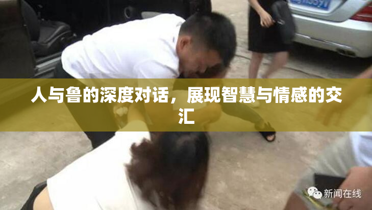人与鲁的深度对话，展现智慧与情感的交汇