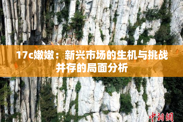 17c嫩嫩：新兴市场的生机与挑战并存的局面分析