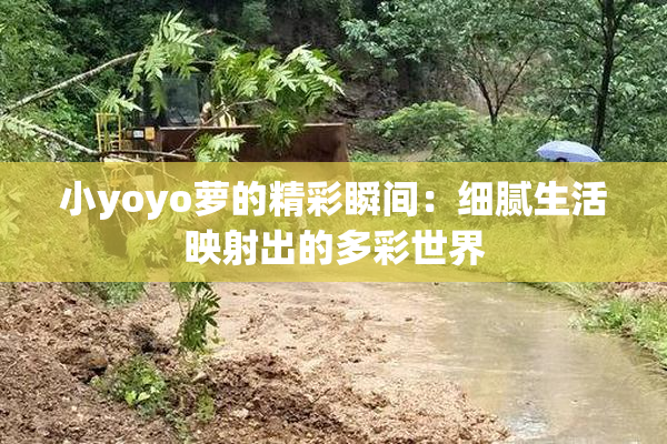小yoyo萝的精彩瞬间：细腻生活映射出的多彩世界