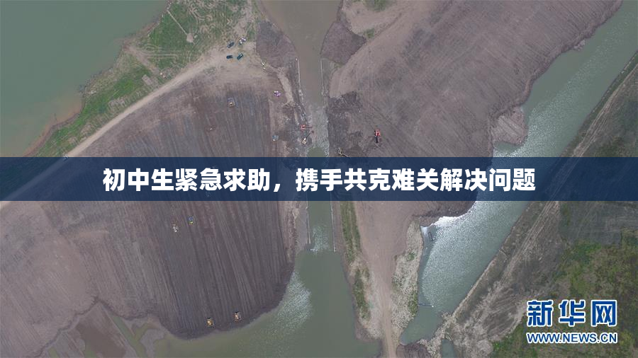 初中生紧急求助，携手共克难关解决问题