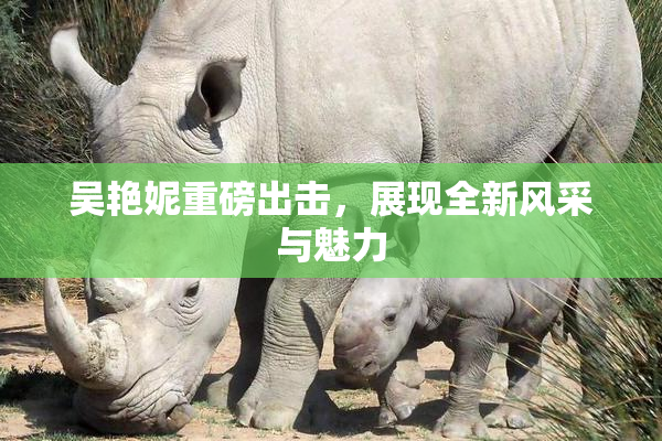 吴艳妮重磅出击，展现全新风采与魅力