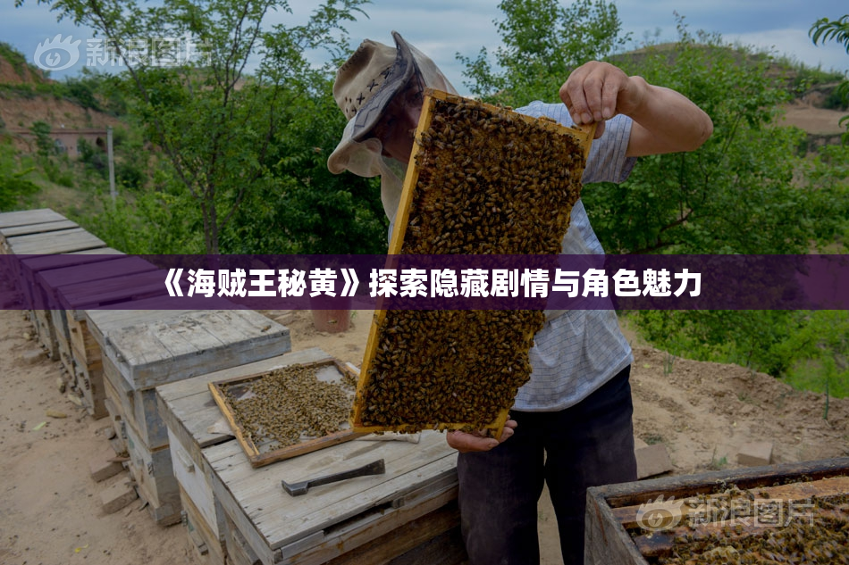 《海贼王秘黄》探索隐藏剧情与角色魅力