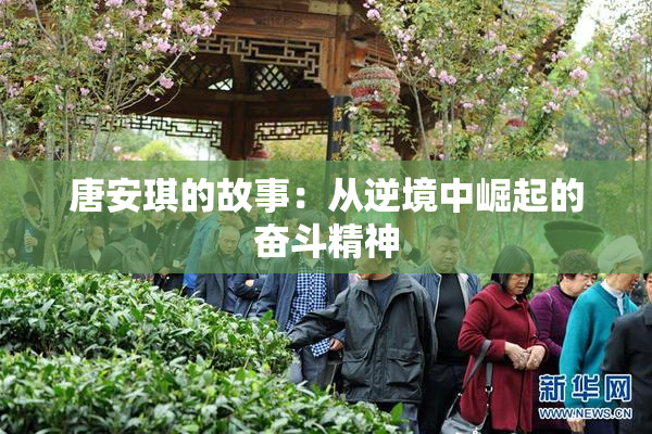唐安琪的故事：从逆境中崛起的奋斗精神