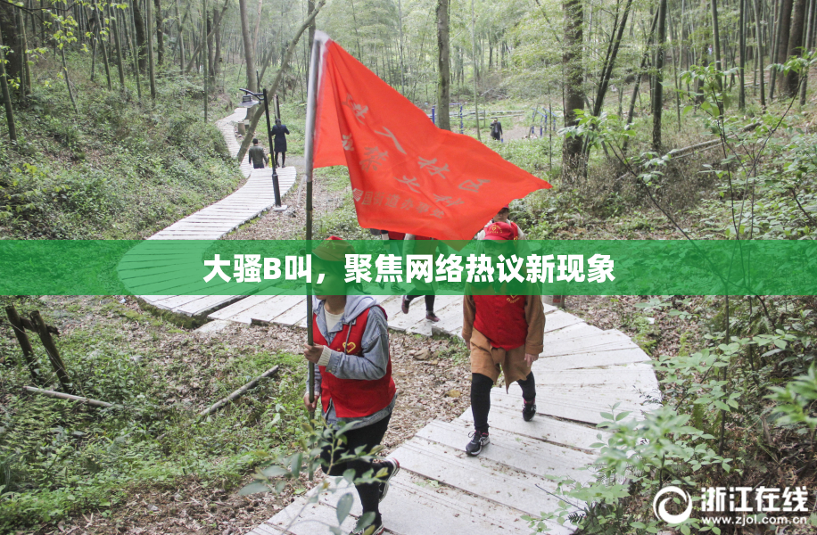 大骚B叫，聚焦网络热议新现象
