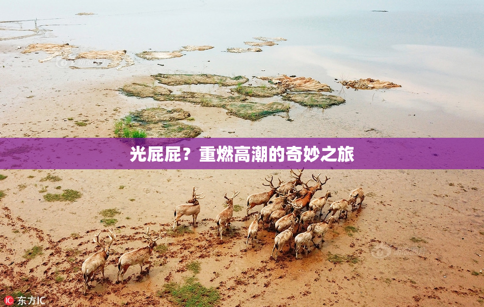 光屁屁？重燃高潮的奇妙之旅