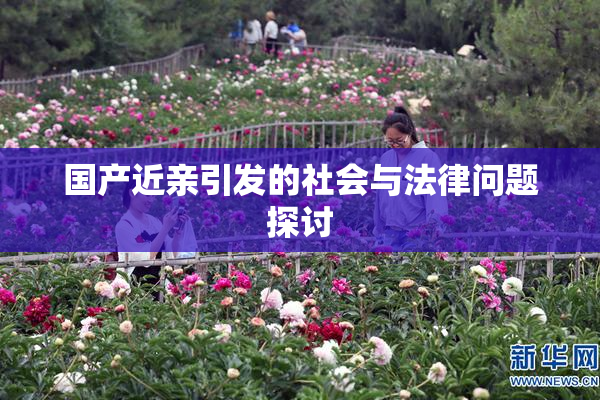 国产近亲引发的社会与法律问题探讨