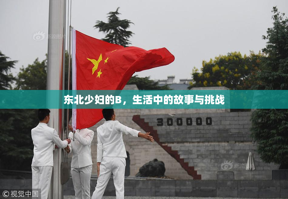 东北少妇的B，生活中的故事与挑战