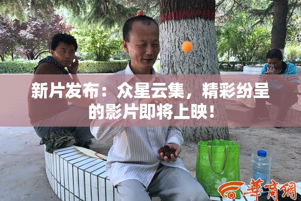 新片发布：众星云集，精彩纷呈的影片即将上映！