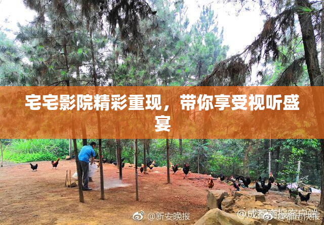 宅宅影院精彩重现，带你享受视听盛宴