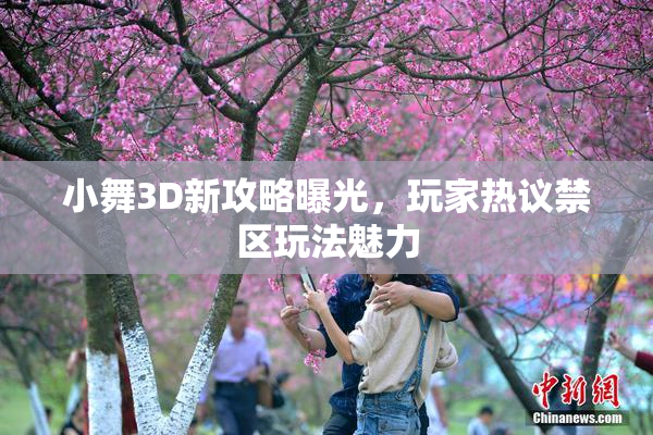 小舞3D新攻略曝光，玩家热议禁区玩法魅力