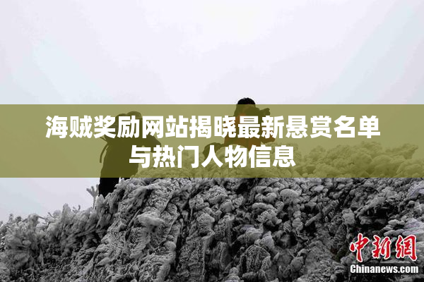海贼奖励网站揭晓最新悬赏名单与热门人物信息