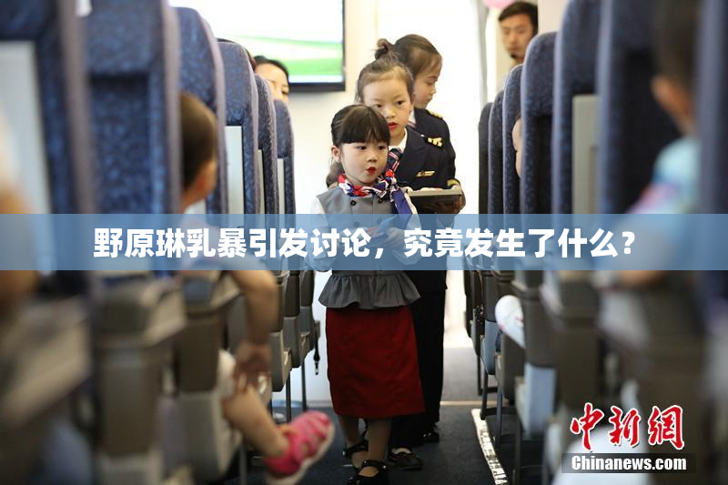 野原琳乳暴引发讨论，究竟发生了什么？