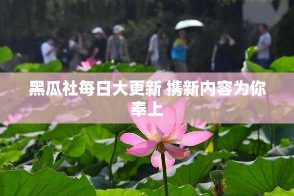 黑瓜社每日大更新 携新内容为你奉上