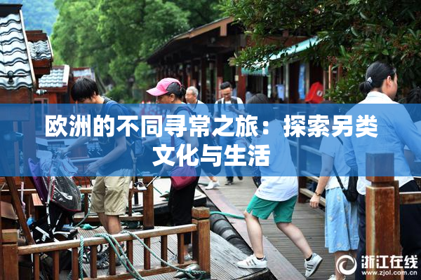 欧洲的不同寻常之旅：探索另类文化与生活