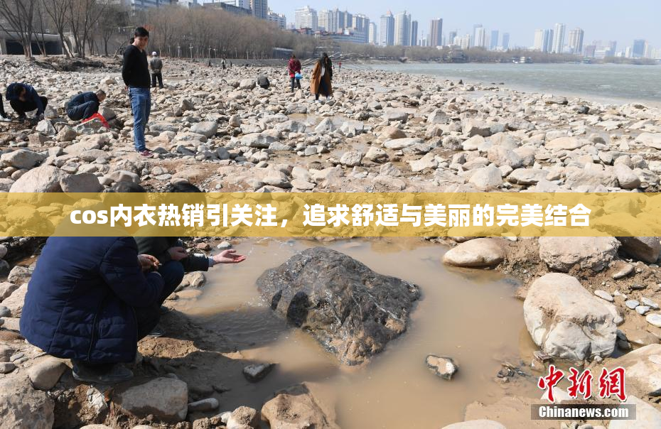 cos内衣热销引关注，追求舒适与美丽的完美结合